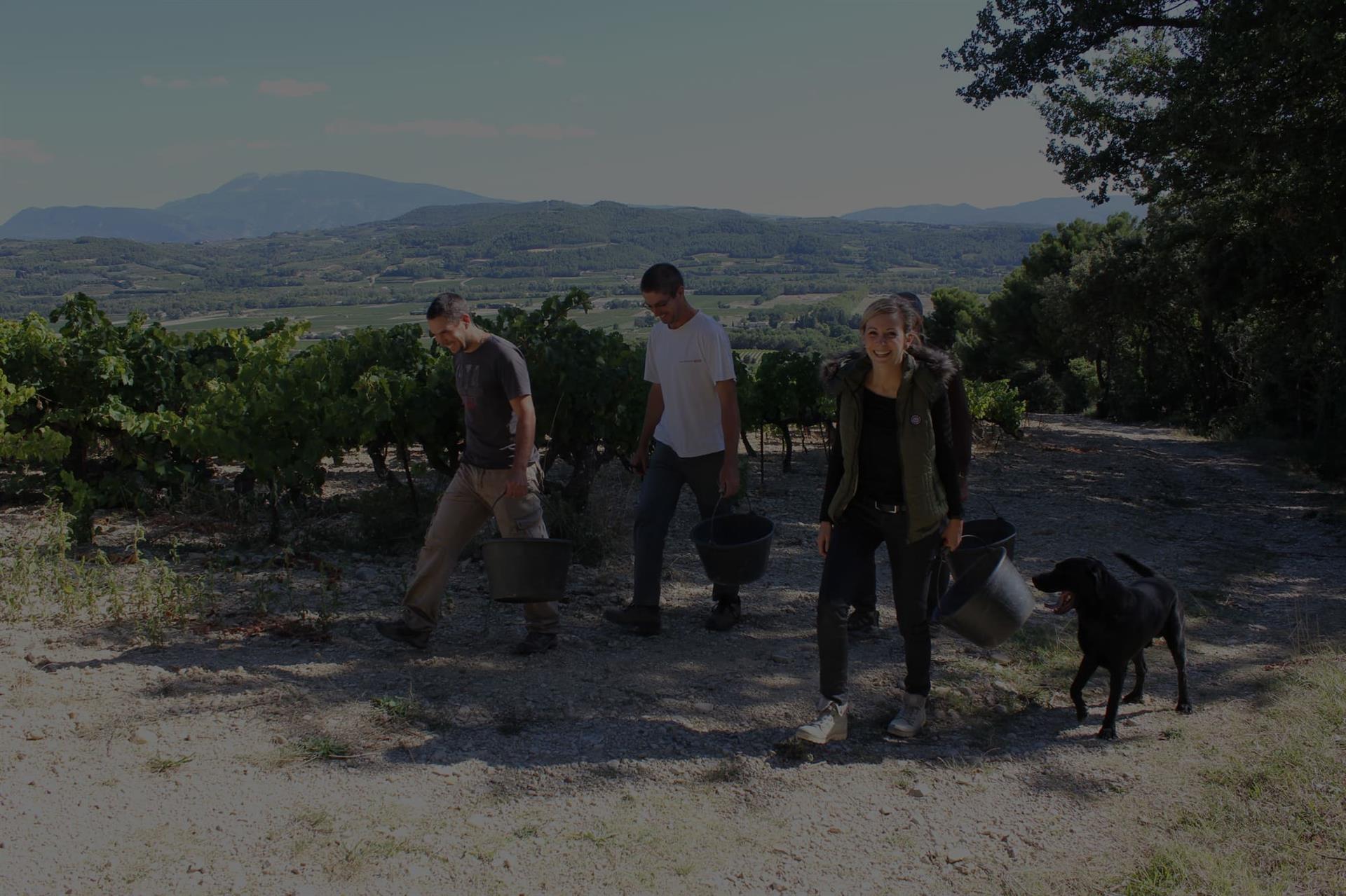 Domaine Vallot Le Coriançon